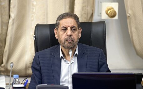 دکتر پروین: تقویت شورا‌ها به معنای گسترش دموکراسی مشارکتی است